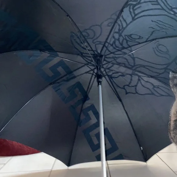 Versace umbrella - Picture 4 of 4